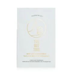 Paddywax Impressions Car Fragrance - You Got This 2packs