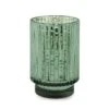 Cypress + Fir - 12 Oz Tall Green Mercury Glass Candle