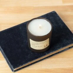 Library 6 Oz Candle - Charlotte Bronte -Paddywax Aroma Deals Store GL14 Lifestyle4
