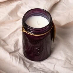 Relish 9.5 Oz Candle - Fresh Fig + Cardamom -Paddywax Aroma Deals Store RJ808 Lifestyle2