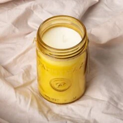 Relish 9.5 Oz. Candle - Fresh Meyer Lemon 5 Relish 9.5 Oz. Candle - Fresh Meyer Lemon -Paddywax Aroma Deals Store RJ819 Lifestyle2