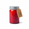 Relish 9.5 Oz Candle - Pomegranate + Spruce