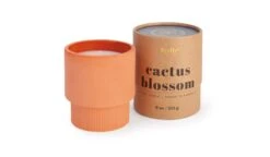 Firefly - Sahara - Cactus Blossom 9oz Candle