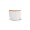 Sonora 10 Oz Candle - Cotton + Teak