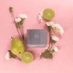 Serenity 10oz. Candle - Firefly By Paddywax - Summer Oasis