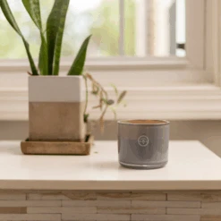 Serenity 10oz. Candle - Firefly By Paddywax - Summer Oasis -Paddywax Aroma Deals Store Serenitylifestyle6 584bd16d 460e 48a6 9ccb 1d3278cba603