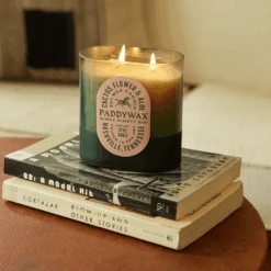 Paddywax - Vista - Cactus Flower + Aloe 12oz Candle -Paddywax Aroma Deals Store VistaCactusFlowerLifestyle
