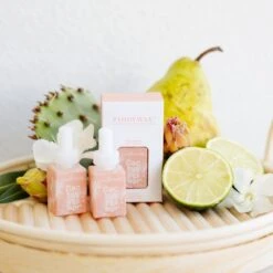 Pura Cactus Flower Refill (2 Pack)