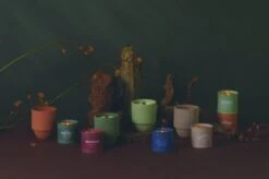 Paddywax Aroma Deals Store -Paddywax Aroma Deals Store parks lifestyle fall 23 1 3